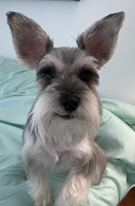 Country Veterinary Clinic Picture 1