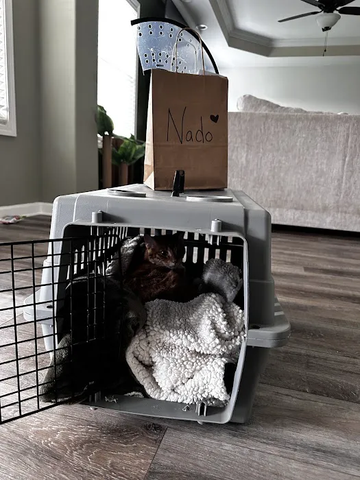 Country Veterinary Clinic Picture 3