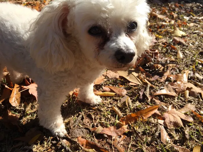 Thornton Animal Hospital Picture 2