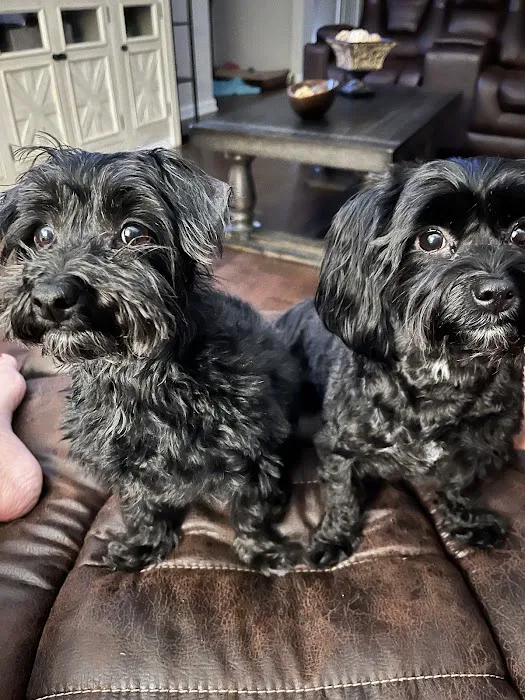 Thornton Animal Hospital Picture 1