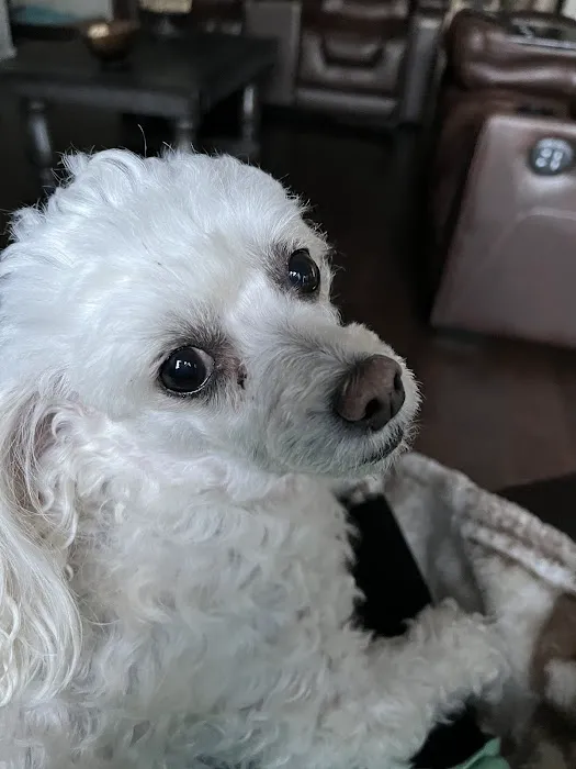 Thornton Animal Hospital Picture 3