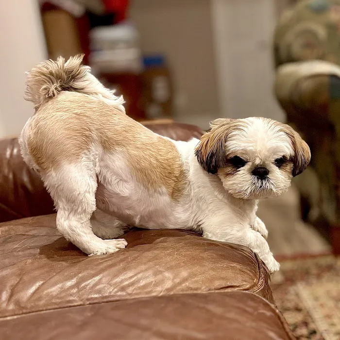 Countryside Veterinary Clinic Picture 2