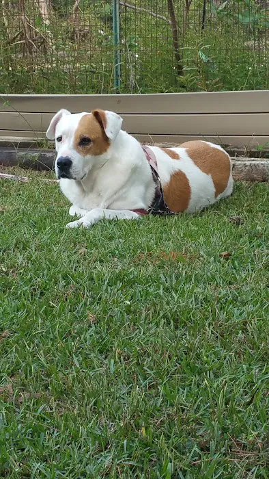 Countryside Veterinary Clinic Picture 4