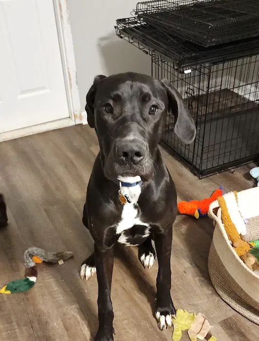 Countryside Veterinary Clinic Picture 7