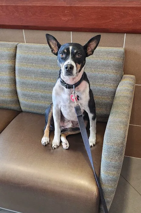 Countryside Veterinary Clinic Picture 5