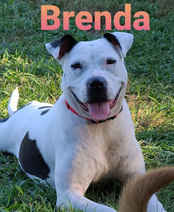 Countryside Veterinary Clinic Picture 9