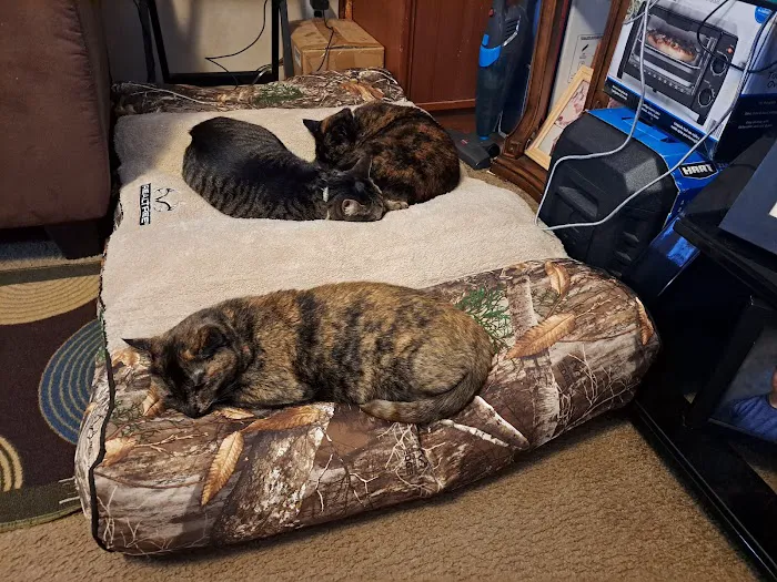 Countryside Veterinary Clinic Picture 10