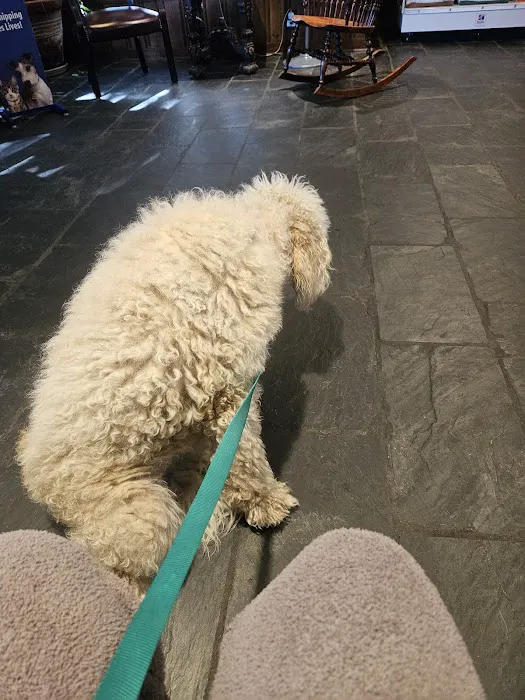 Animal Health Center Picture 5