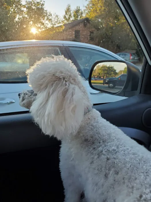 Animal Health Center Picture 6