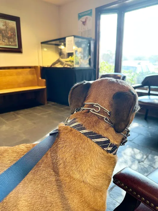 Animal Health Center Picture 4