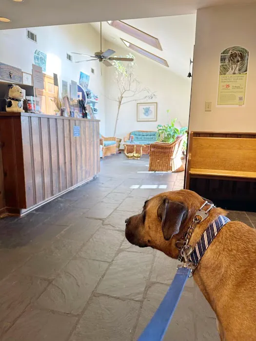 Animal Health Center Picture 3