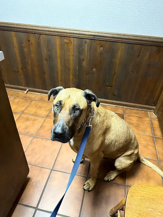 Animal Health Center Picture 2