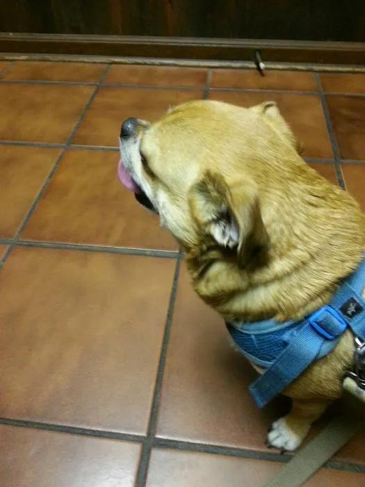 Animal Health Center Picture 10