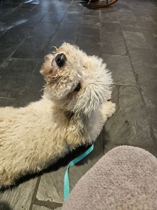 Animal Health Center Picture 8