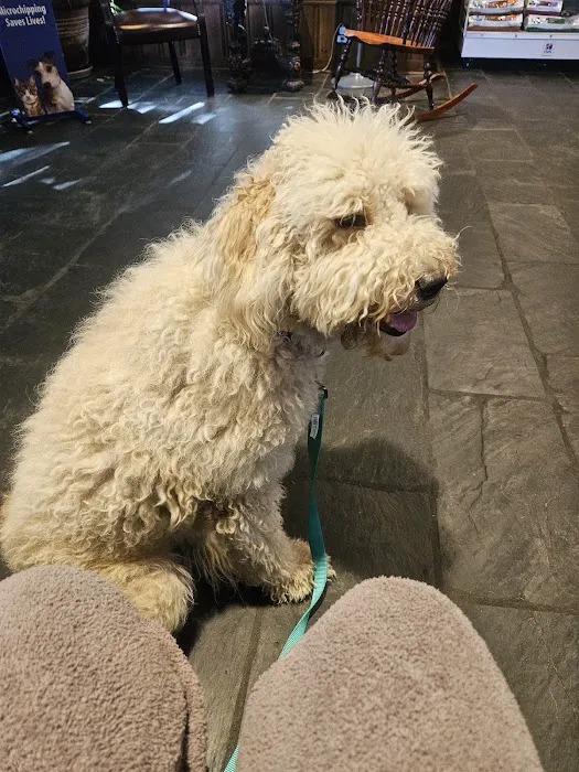 Animal Health Center Picture 9