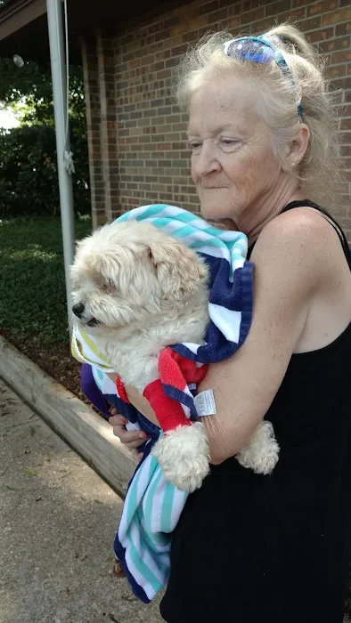 Colley Jere DVM Picture 1