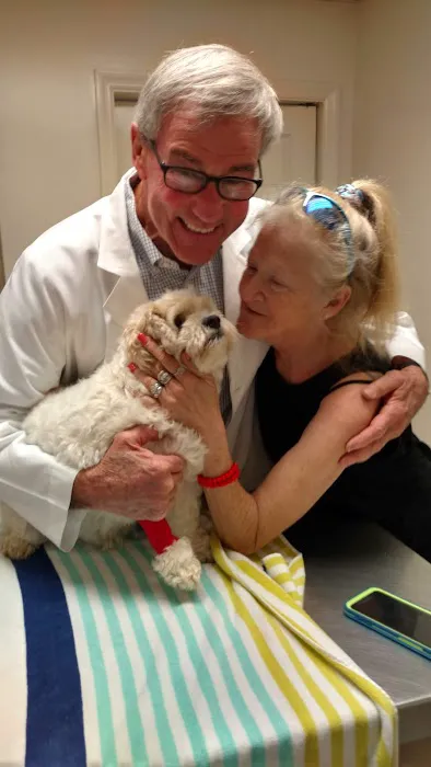 Colley Jere DVM Picture 3