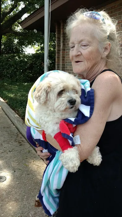 Colley Jere DVM Picture 4