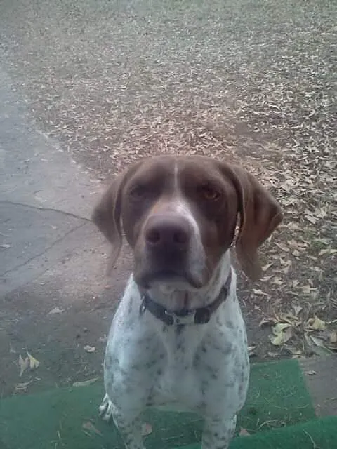 Opelika Animal Hospital Picture 2