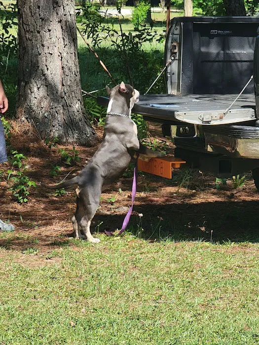 Opelika Animal Hospital Picture 7