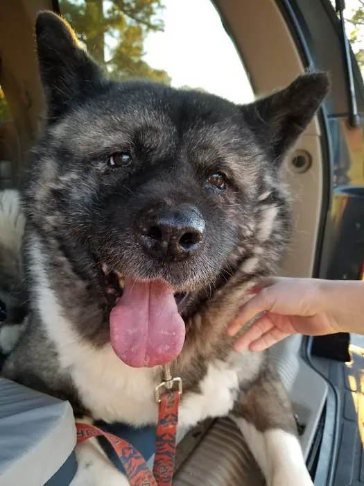 Opelika Animal Hospital Picture 5