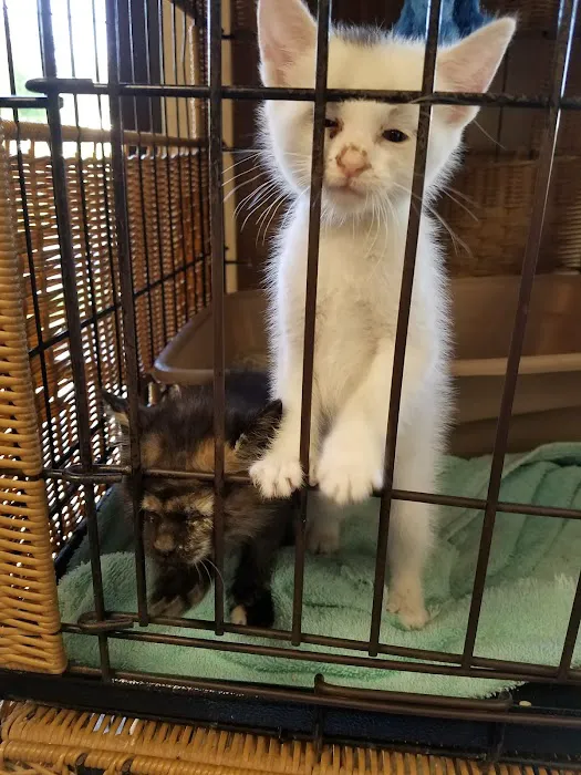 Opelika Animal Hospital Picture 9