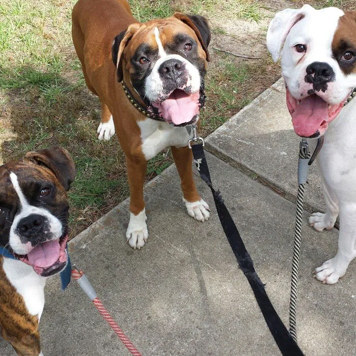 Cataula Veterinary Hospital Pc Picture 2