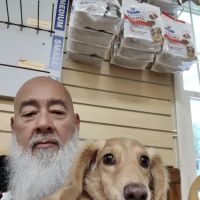 Cataula Veterinary Hospital Pc ico