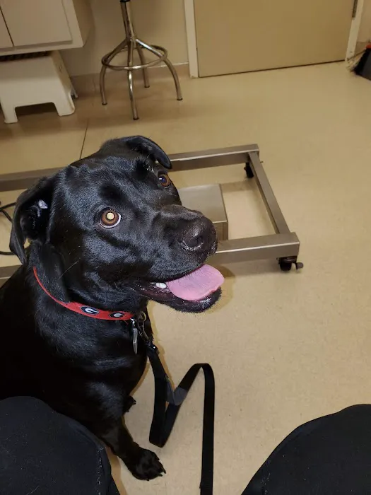 Cataula Veterinary Hospital Pc Picture 5