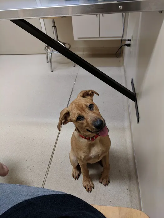 Cataula Veterinary Hospital Pc Picture 3