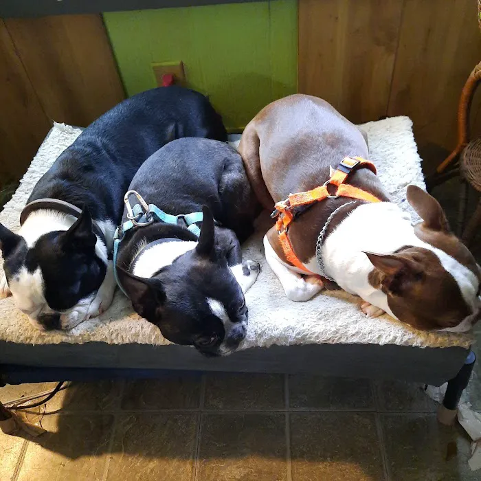 Cataula Veterinary Hospital Pc Picture 8