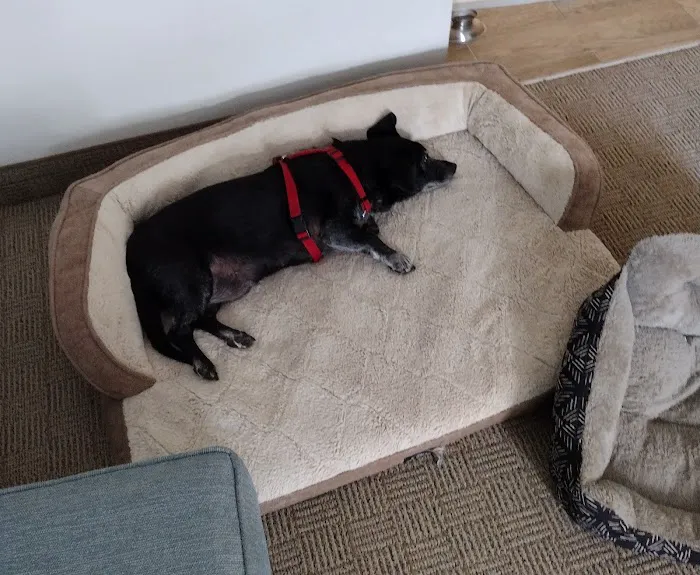 Cataula Veterinary Hospital Pc Picture 10