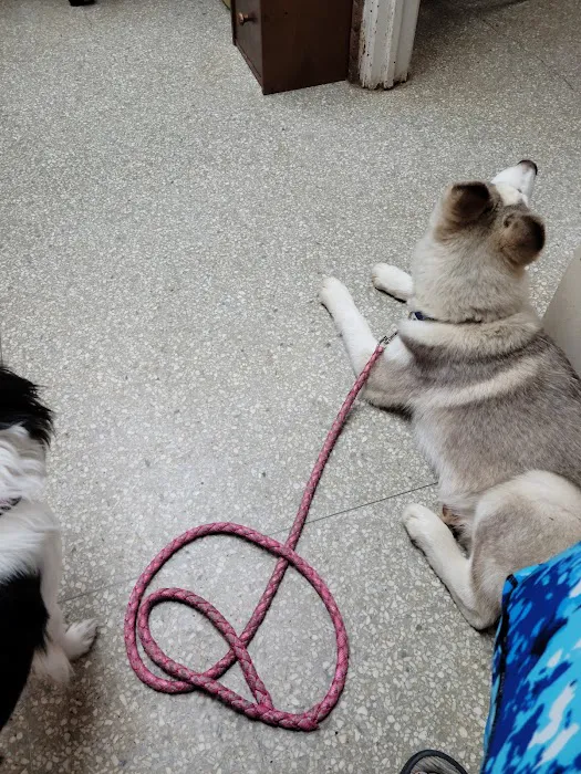 Hendricks Animal Clinic Inc Picture 2