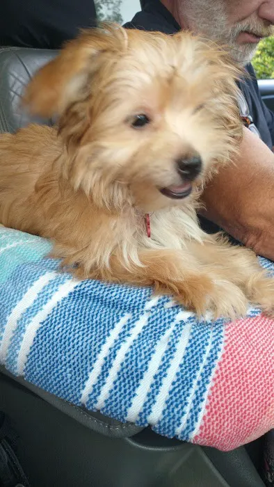 Hendricks Animal Clinic Inc Picture 3