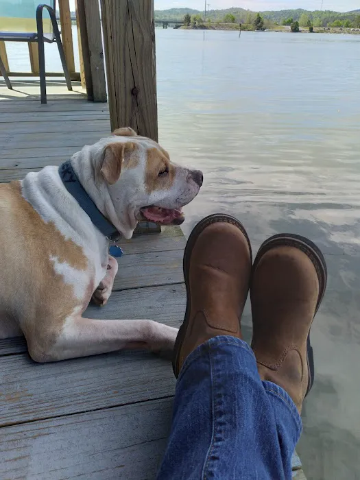 Hendricks Animal Clinic Inc Picture 1