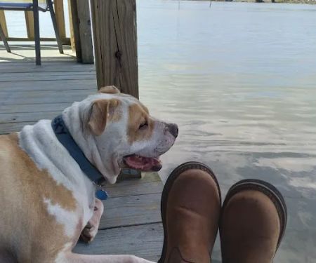 Hendricks Animal Clinic Inc