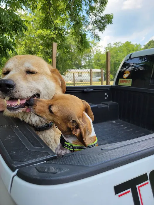 Hendricks Animal Clinic Inc Picture 4