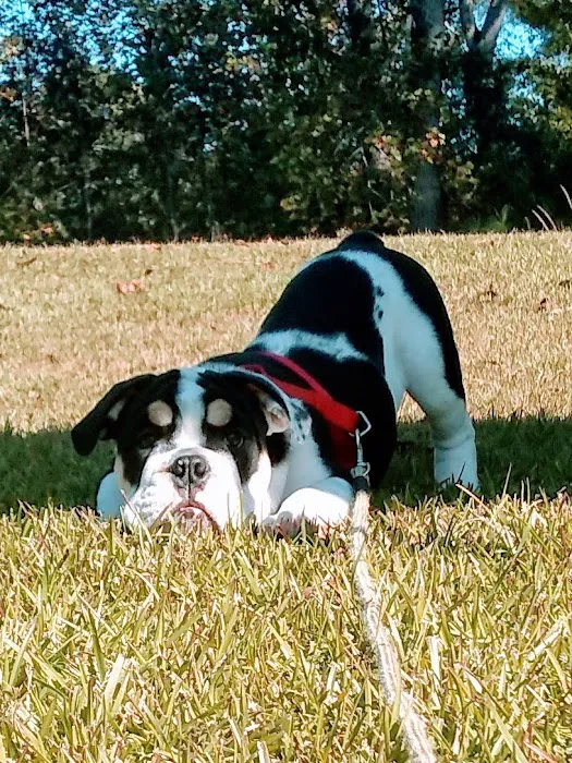 Hendricks Animal Clinic Inc Picture 6