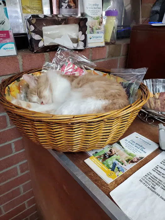 Hendricks Animal Clinic Inc Picture 9