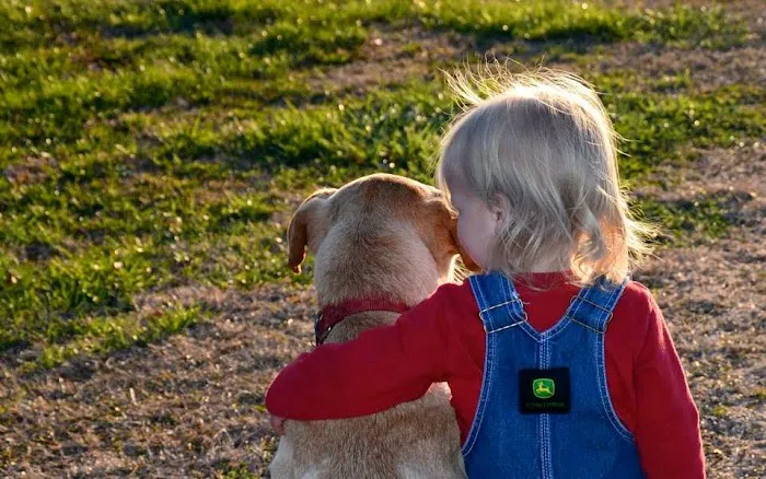 Vet to Pet Services Picture 3