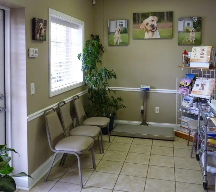 Vet to Pet Services Picture 7