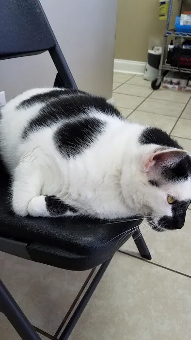 Vet to Pet Services Picture 4