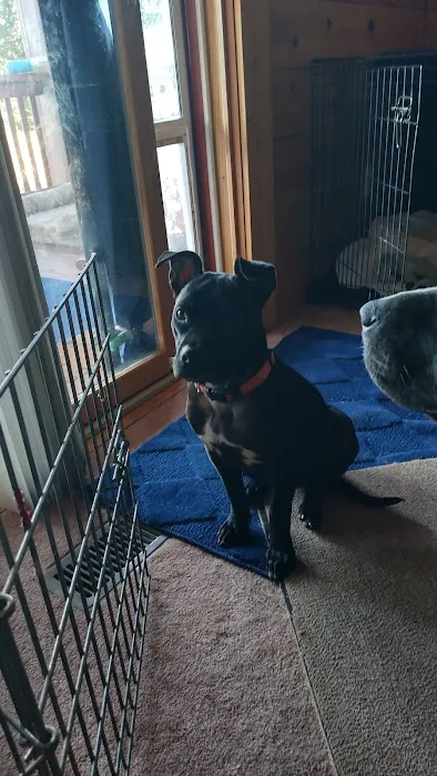 Woodbury Animal Clinic Picture 2