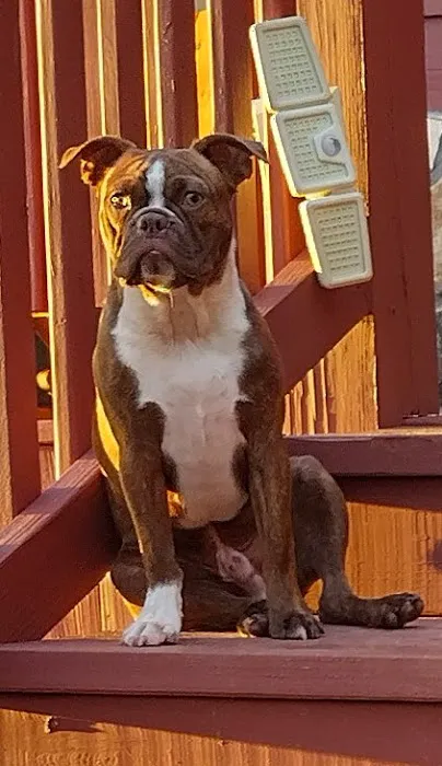 Woodbury Animal Clinic Picture 3