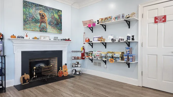 Woodbury Animal Clinic Picture 5