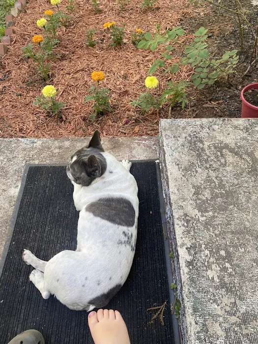 Woodbury Animal Clinic Picture 7