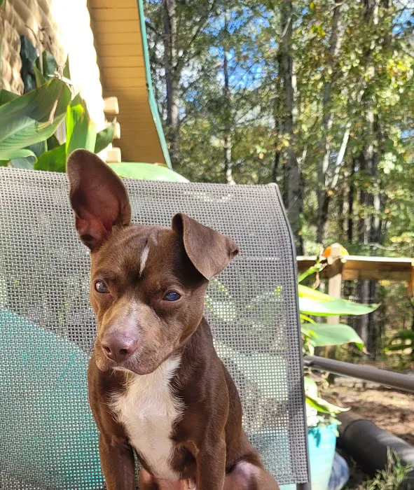 Woodbury Animal Clinic Picture 8