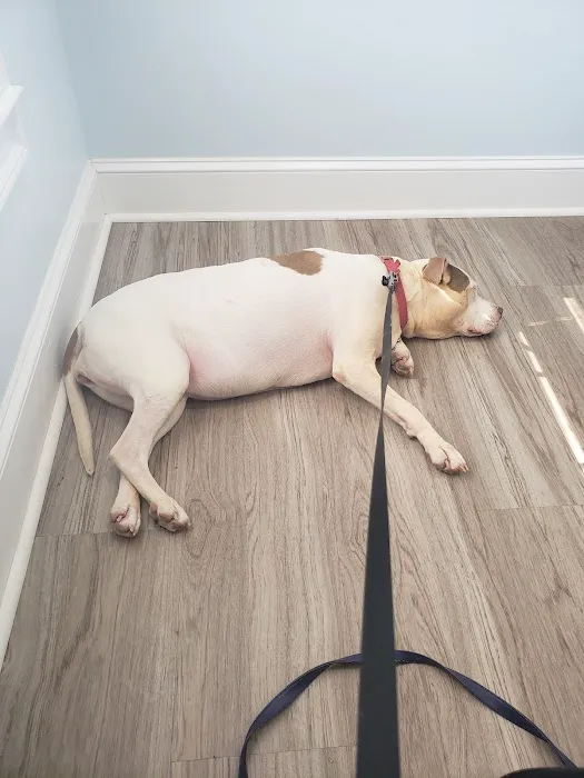 Woodbury Animal Clinic Picture 9