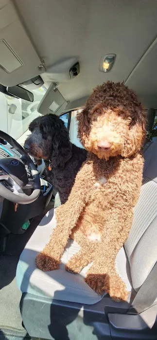 Kent Farms Animal Hospital Picture 5