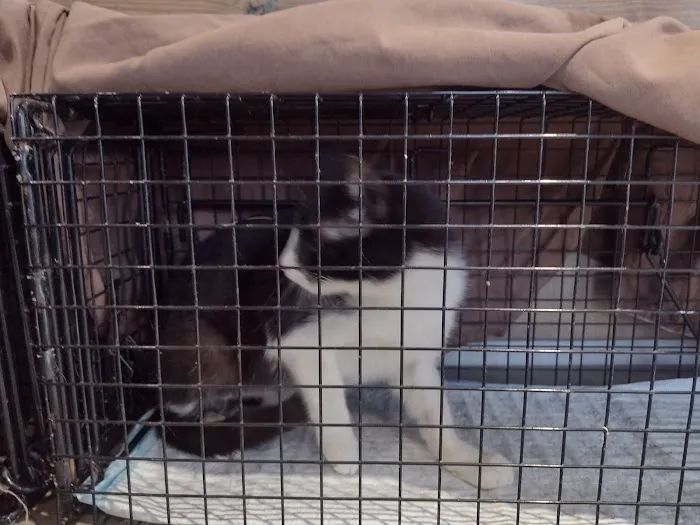 Kent Farms Animal Hospital Picture 2